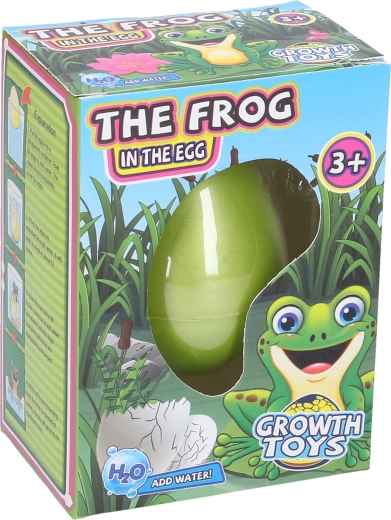Œuf avec grenouille qui grandit 6,5 cm
