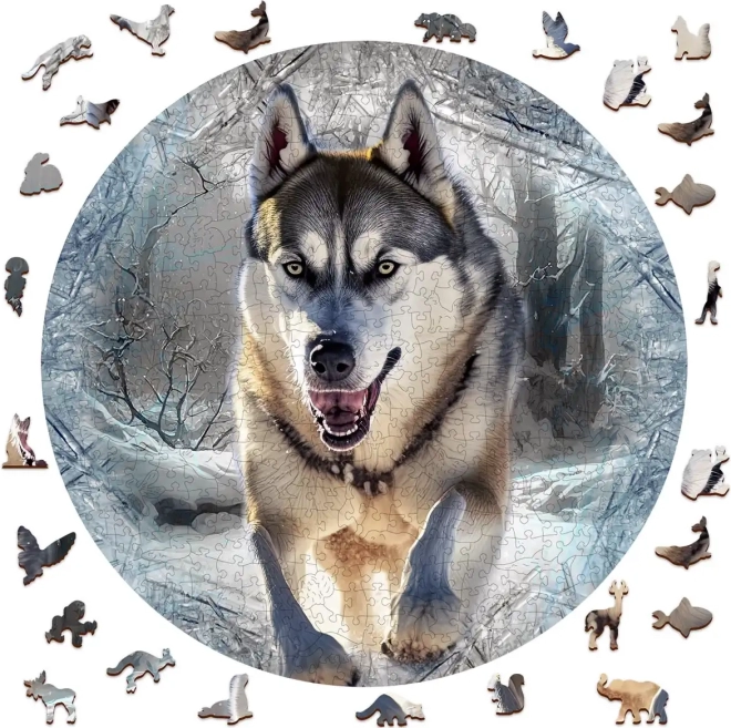 Puzzle en bois Loup Courant 505 pièces de Wooden City