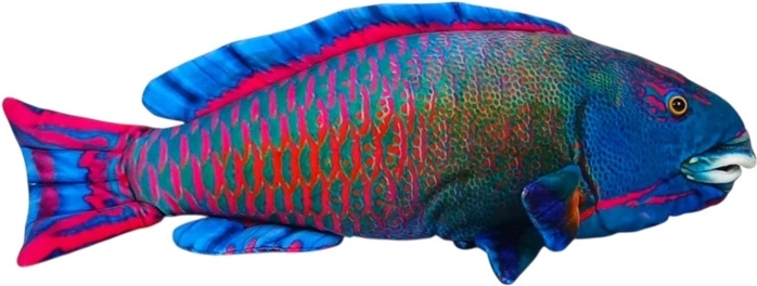 Poisson de mer bleu en peluche 50 cm