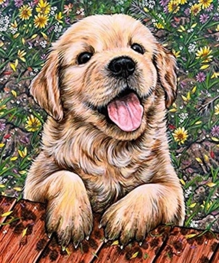 Peinture diamant chiot labrador 30 × 40 cm