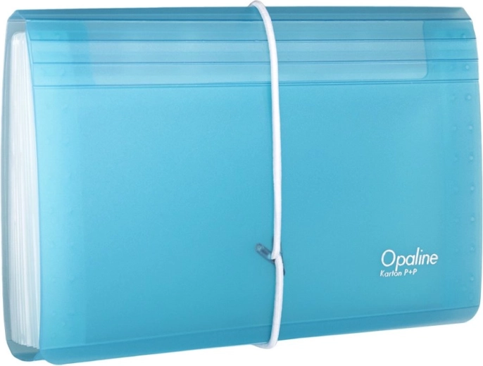 Organiseur de documents avec élastique DL Opaline transparent-bleu