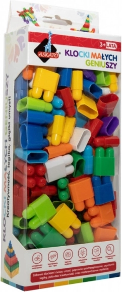 Blocs des petits génies - Briques