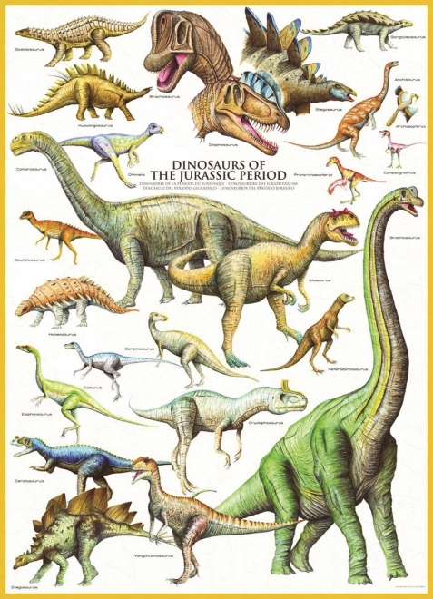 Eurographics puzzle dinosaures du Jurassique 1000 pièces