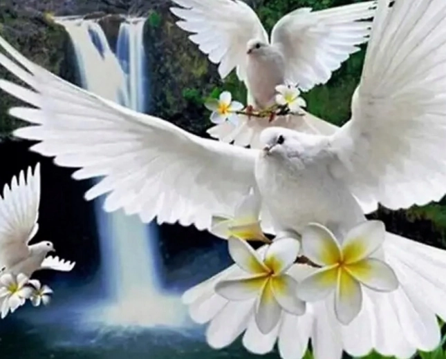 Peinture diamant Colombe blanche 30 × 40 cm