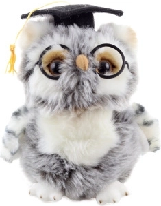 Chouette en peluche diplômée