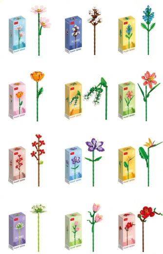 Florist fleurs d’été et des champs multicolores (12 espèces)