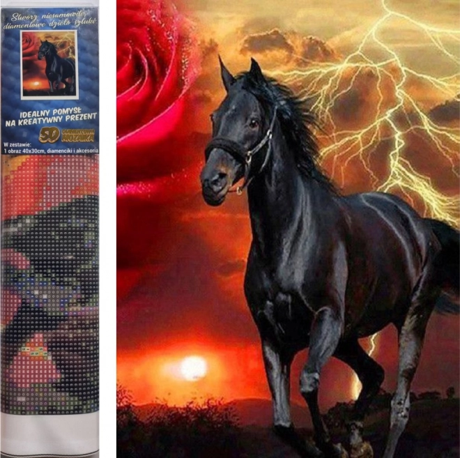 Kit de peinture diamant - étalon noir