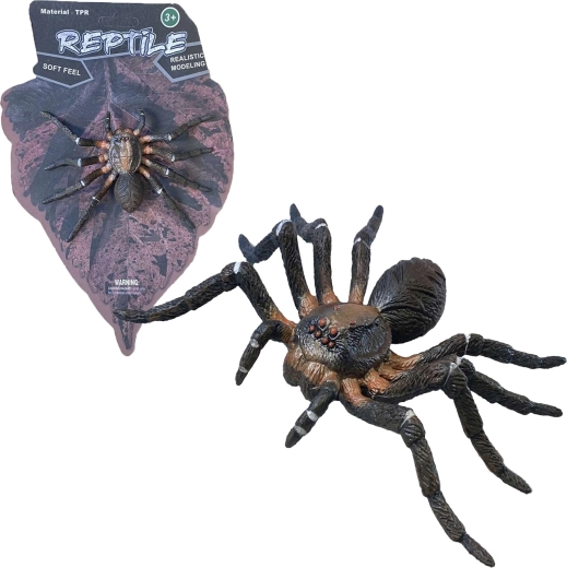 Nature vivante : Wolf Spider – modèle réaliste d’araignée (12 cm)