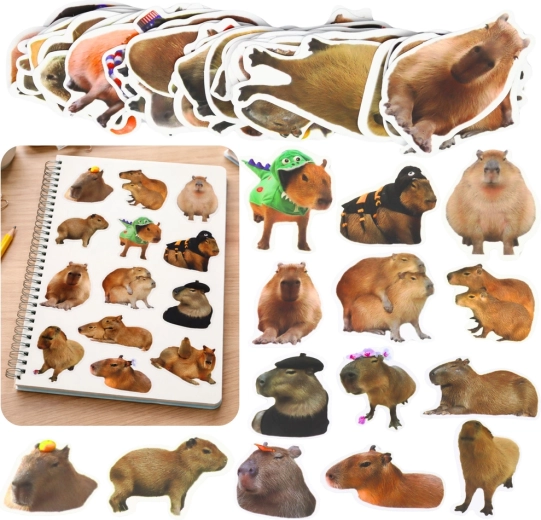 Lot d’autocollants capybara – motifs réalistes, papier, 50 pcs (6–7 cm)