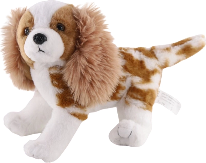 Chien en peluche Cavalier King Charles spaniel 26 cm