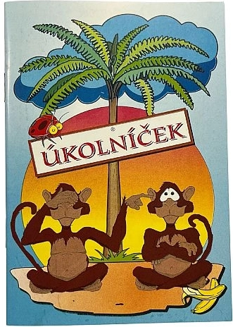 Carnet de devoirs A6 – assortiment de motifs