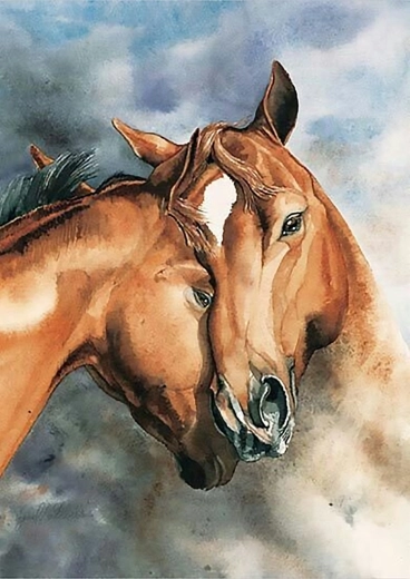 Norimpex Peinture par numéros Chevaux 40 × 50 cm