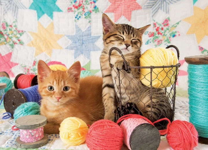 Puzzle Pelotes Douces 1000 pièces