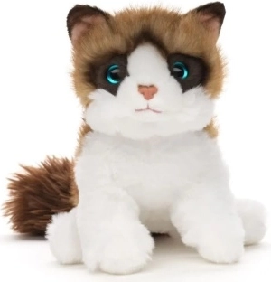 Chat en peluche Ragdoll 18 cm