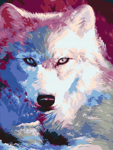 Peinture par numéros Ombres du loup blanc 40 × 50 cm