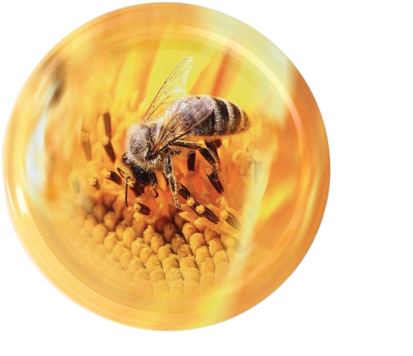 Couvercles métalliques pour bocaux 82 mm avec motif d’abeille, lot de 10 pièces