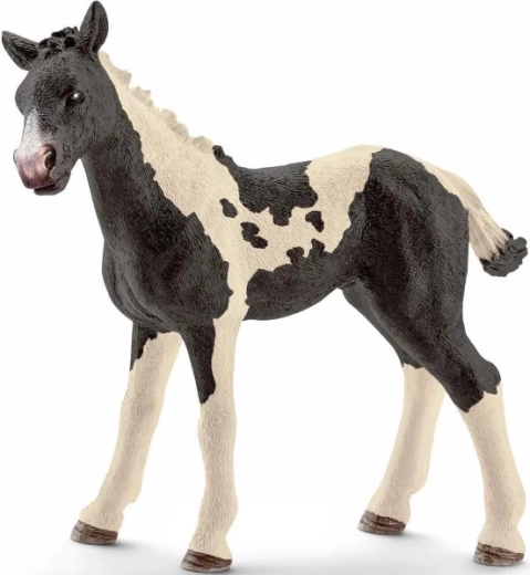 Schleich figurine poulain PINTO pie