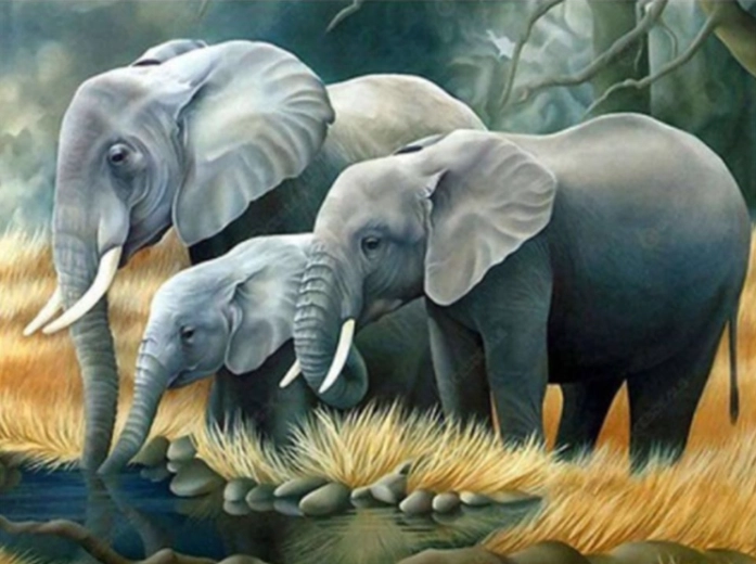 Norimpex peinture par numéros Famille d'éléphants au bord de la rivière 40 × 50 cm