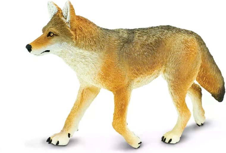 Safari Ltd. figurine de coyote - 1 pièce