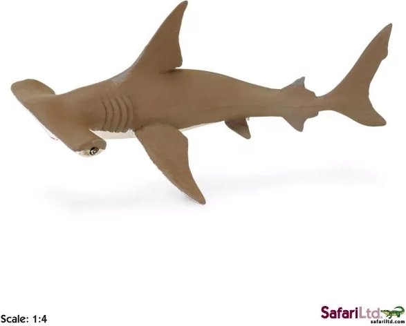 Safari Ltd. jeune requin-marteau cuivré