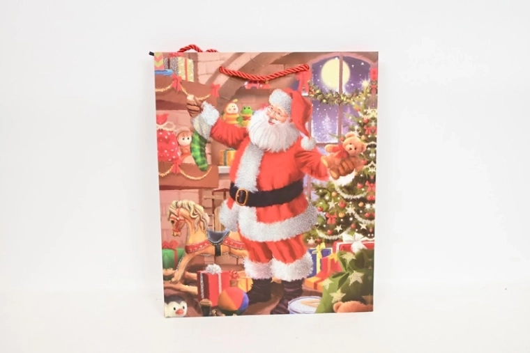 Sac cadeau en papier festif M