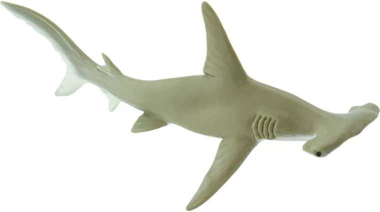 Safari Ltd. figurine de requin-marteau cuivré - 1 pièce