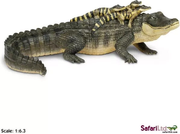 Safari Ltd. alligator avec ses petits