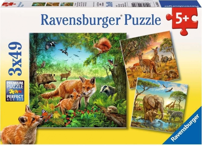 Ravensburger puzzle Animaux 3×49 pièces