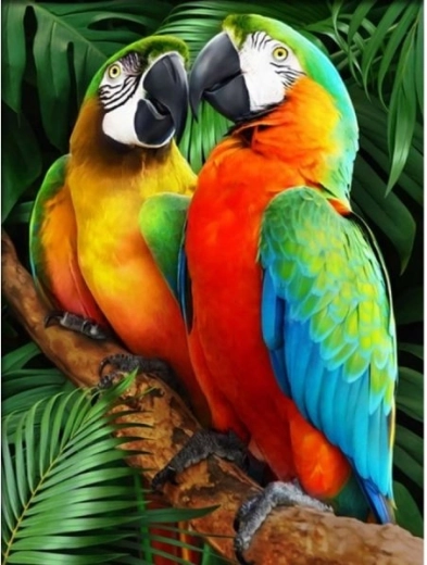 Mosaïque de diamants (diamond painting) Aras colorés 30 × 40 cm