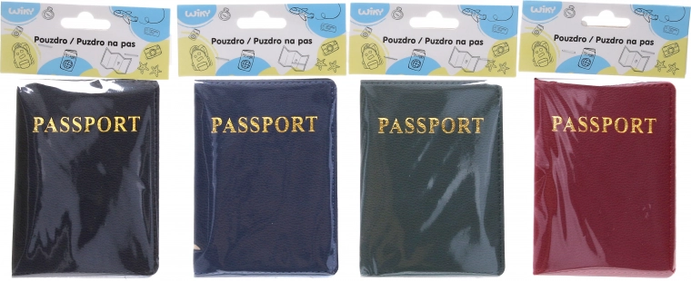 Étui de passeport au design cuir