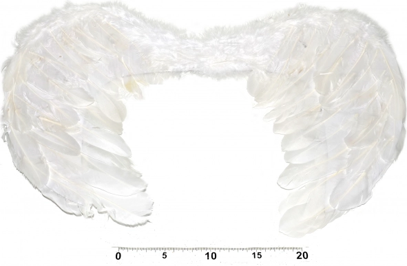 Ailes d'ange pour costume