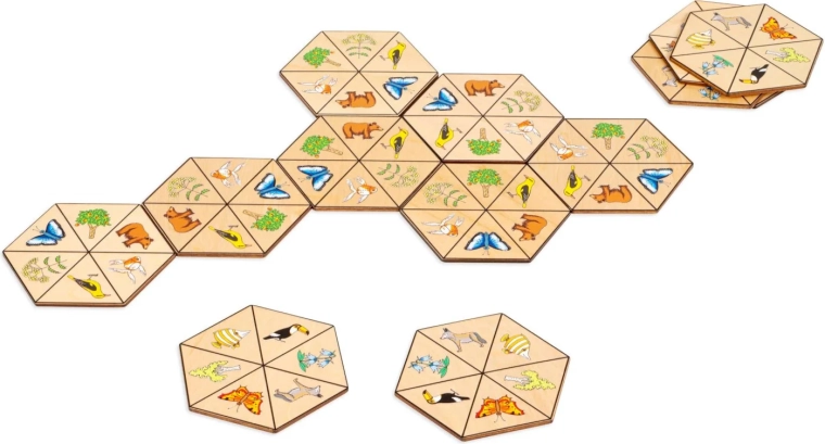Toys for Life domino hexagonal nature
