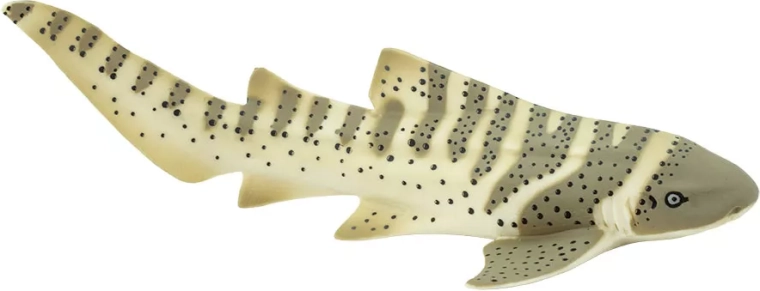 Safari Ltd. rousnozoubec rayé – figurine de requin - 1 pièce