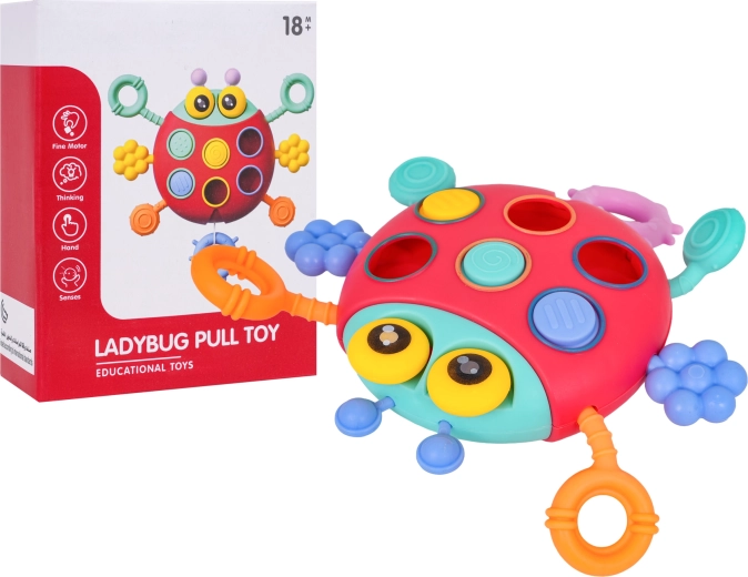 Coccinelle sensorielle multifonction pour les tout-petits