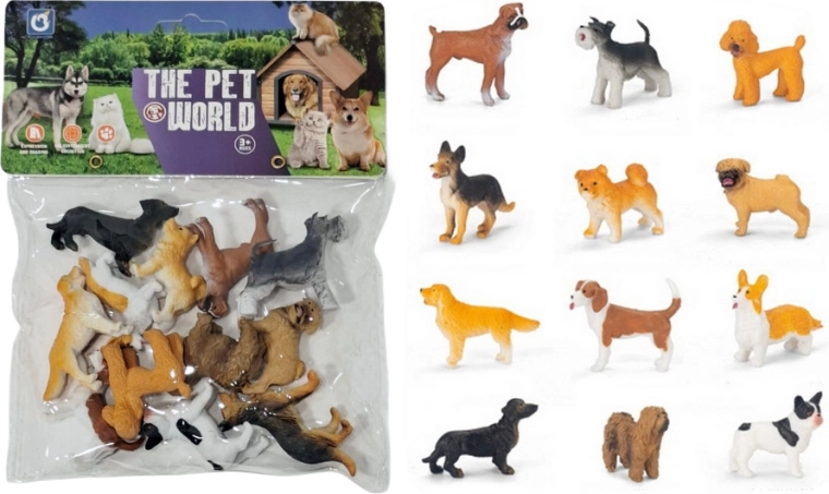 Animaux – chiens