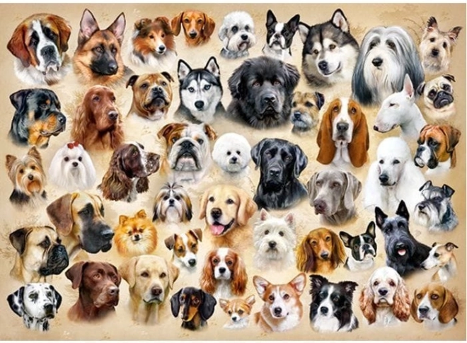 Puzzle Collage avec des Chiens