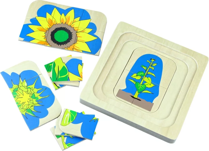 Puzzle en bois multicouche Le cycle de vie d’une fleur
