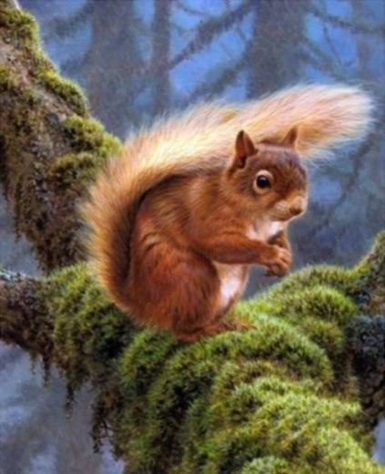 Peinture diamant – écureuil sur une branche 30 × 40 cm