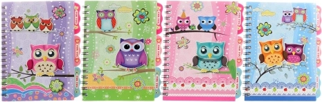 Carnet avec petites chouettes