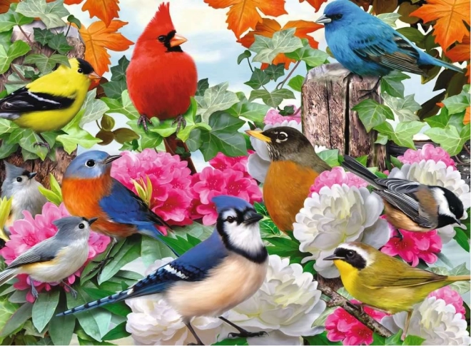 Puzzle Ravensburger Oiseaux de jardin 500 pièces