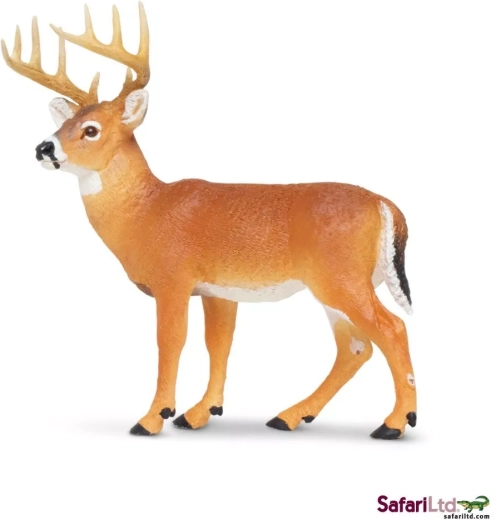 Cerf de Virginie Safari Ltd.