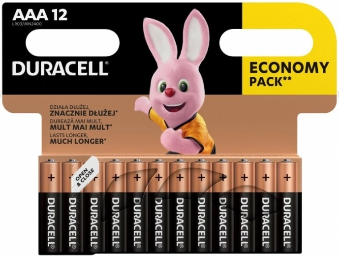 Piles alcalines AAA DURACELL Basic, 12 pcs