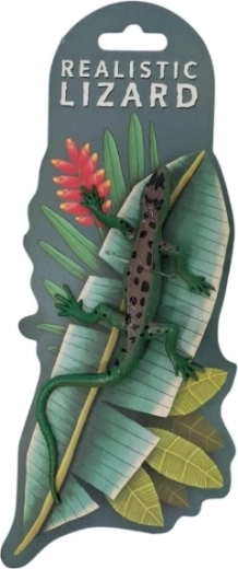 Animaux – caméléon changeant de couleur