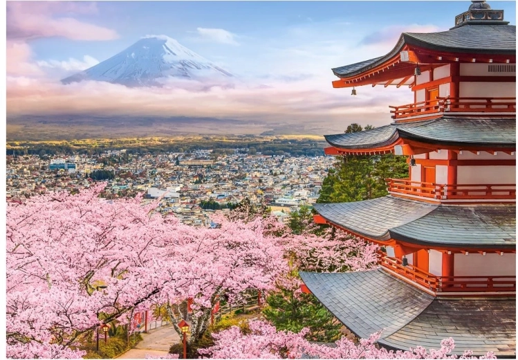 Puzzle Castorland Printemps au Japon 500 pièces