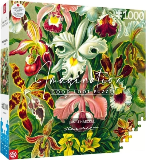 puzzle imagination : Ernst Haeckel – orchidée 1000 pièces