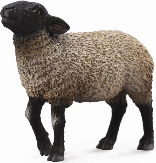 Collecta mouton Suffolk figurine en plastique