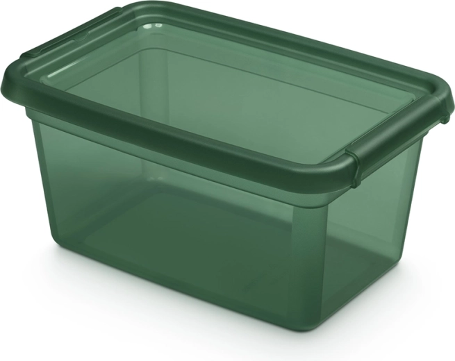 Basestore boîte de rangement avec couvercle et clips PINE 4,5 l