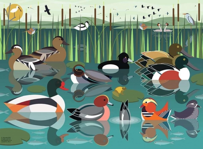 Puzzle Ravensburger J’aime les oiseaux aquatiques 500 pièces