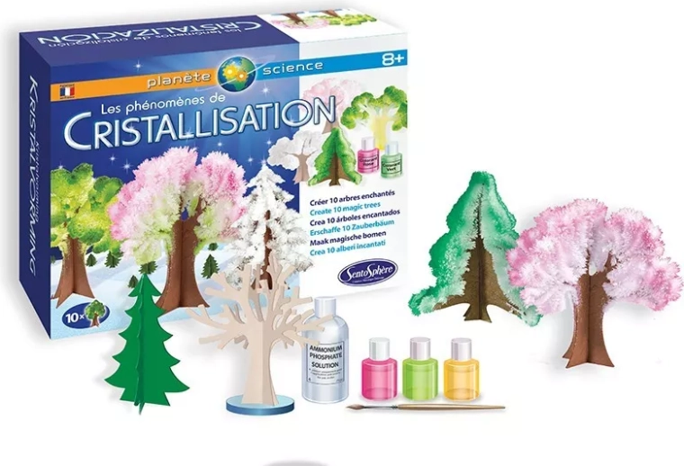 Sentosphere phénomène de cristallisation – forêt enchantée