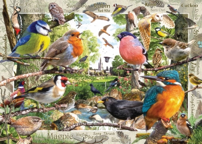 Puzzle Ravensburger Nos amis à plumes 1000 pièces